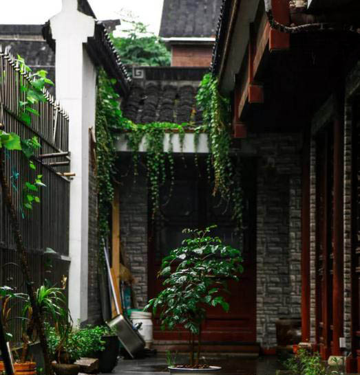 梅雨季節，養花怎么做？