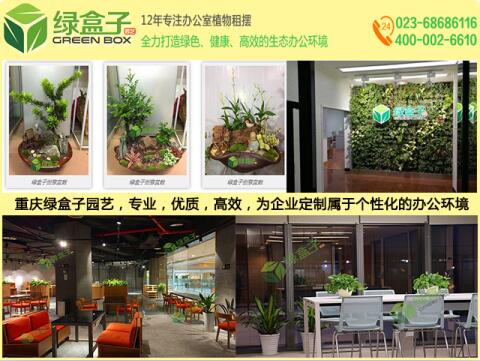 綠色植物租擺價格,重慶辦公室租擺養(yǎng)護盆栽植物