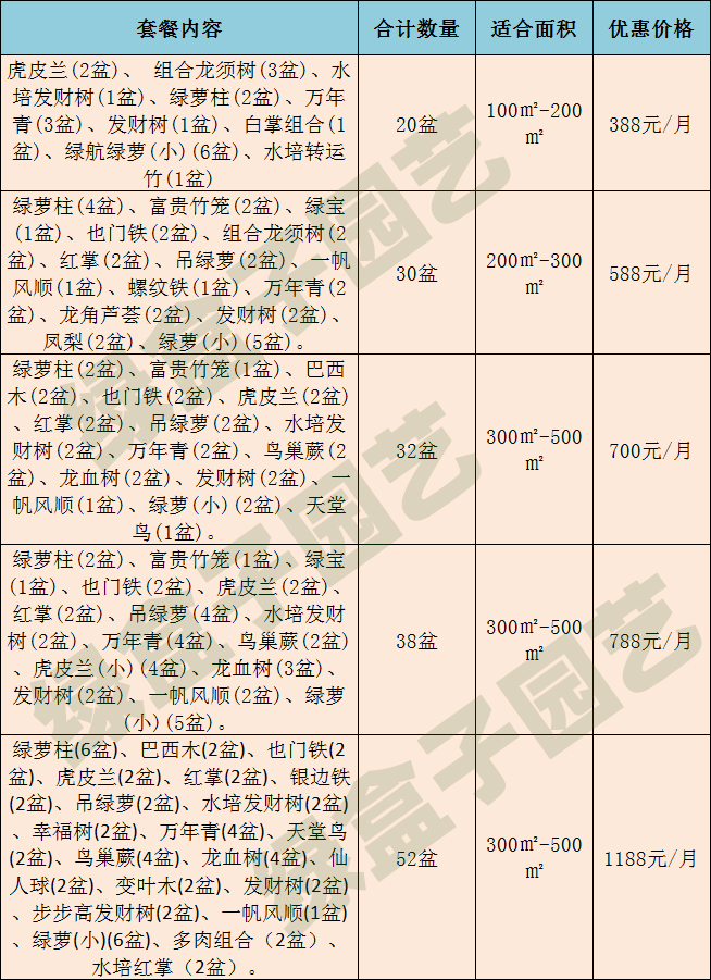 綠盒子套餐圖片.jpg